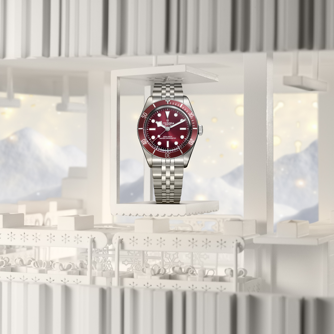 Inizia il nuovo anno con TUDOR